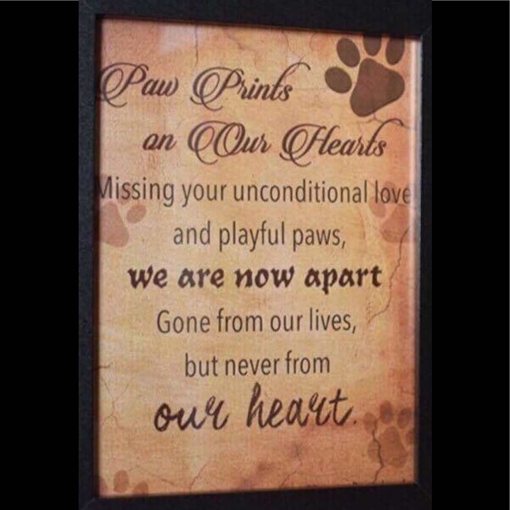 Pet Memorial Frame, New In Box - Picture 3 of 3